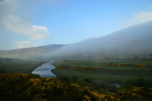 Quand la brume fait son grand retour ….