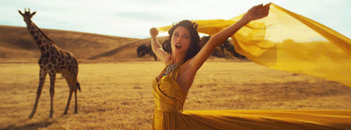 Wildest Dreams // Taylor + Animals
