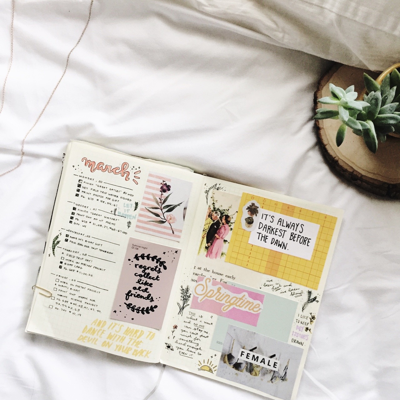 Happy Saturday, studyblr babes! This past week was... : patience.