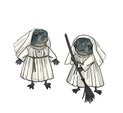 Hey it’s those delightful fish nuns from the new star war. Love ‘em.