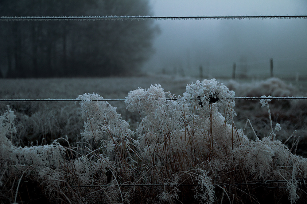 woodlouseinglenook:A day outside with my beloved mom in Winter 2014.