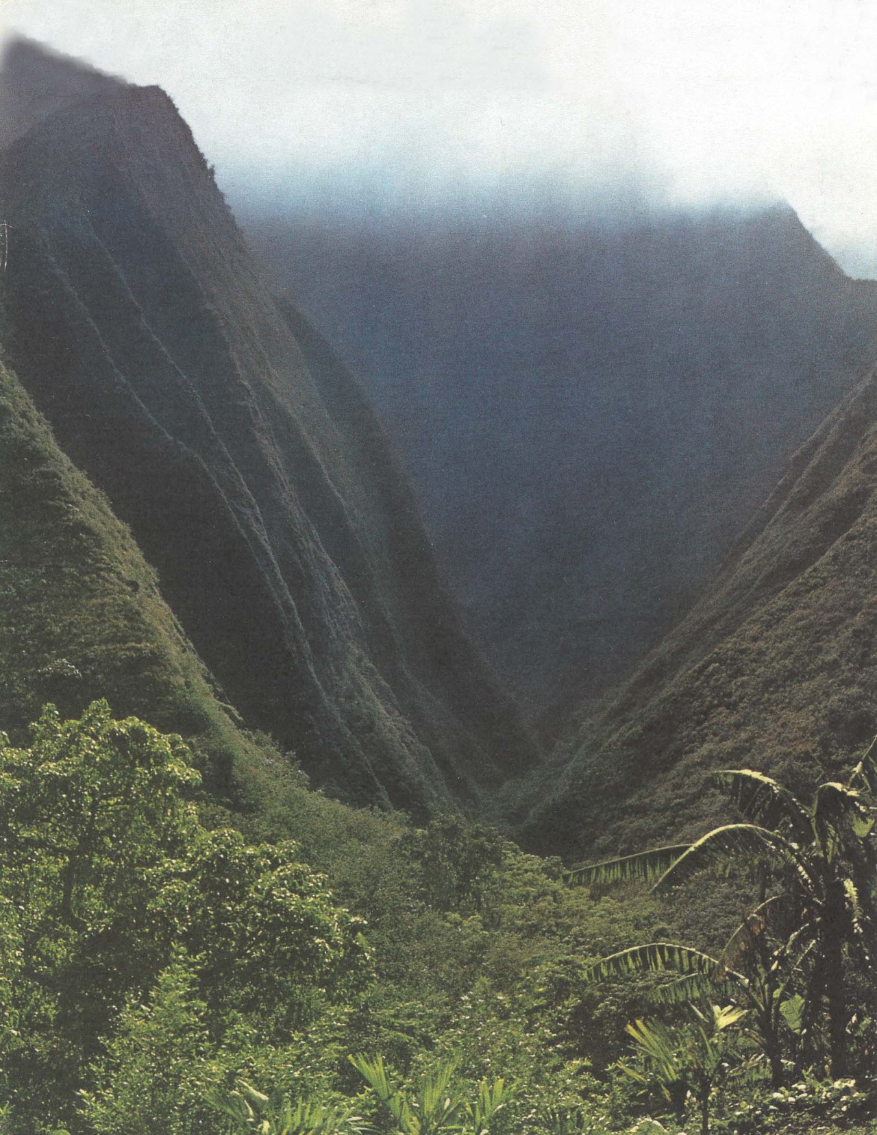 equatorjournal:
“hawaii, 1972
”