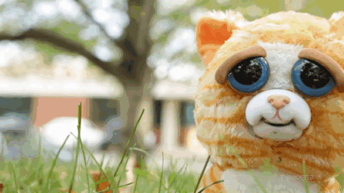 culturenlifestyle: Stuffed Animals Transform From Cute to Scary When You Squeeze Them Think Geek reminds us that, “we’ve all heard the saying ‘Don’t judge a book by its cover.’ Well the same can be said for animals. There is a reason that most
