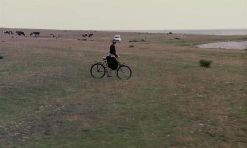 idioternen: The Sacrifice (1986) Andrei Tarkovsky