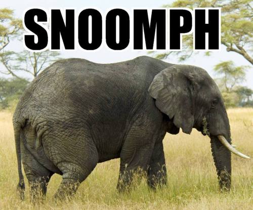 snoomphs, for World Elephant Day