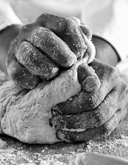 The Life of Hands