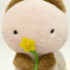 gold-buttercups