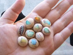 sexxxception:  moderat-ion:  books-tea-lsd:  p—sychedelia:  risewiththemoon:  These are my favorite opals. Don’t they look like hatching dragon eggs? My mom has a bunch, but we went into an opal store and they had cases and cases of them. It looked