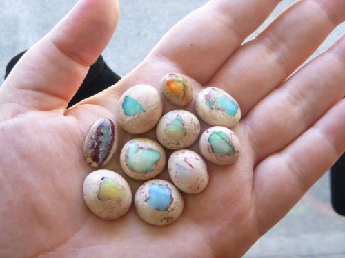 risewiththemoon:These are my favorite opals. Don’t they look like hatching dragon eggs? My mom has a
