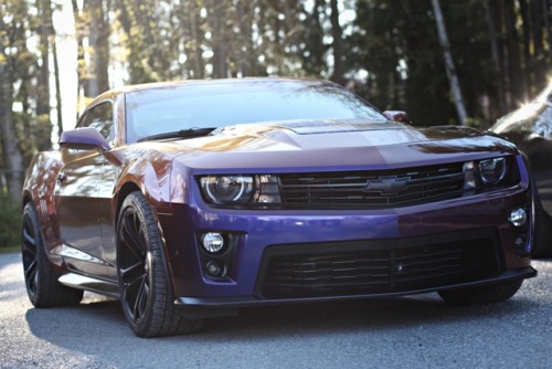 francescolt: Chevrolet Camaro ZL1