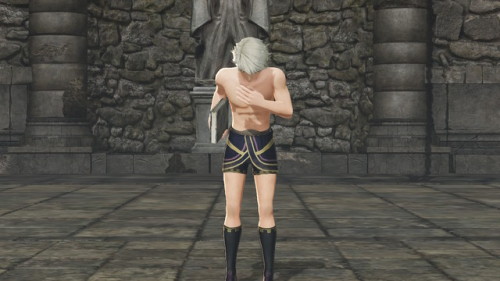 gamecubegrant: LADIES AND GENTS! YOUR MASTER TACTICIAN! SHIRTLESS ROBIN!