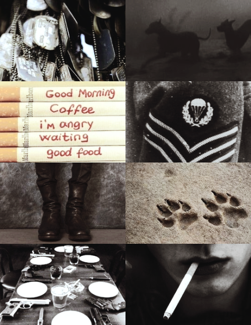 dolcetto (fma/fmab) aesthetic