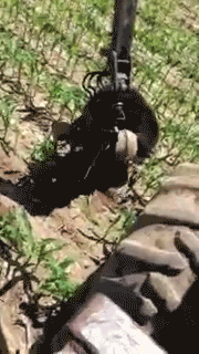 onlylolgifs:  WI Lumberjack rescues BLACK BEAR with milk can stuck on head