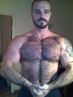 backfur:  Backfur Approved