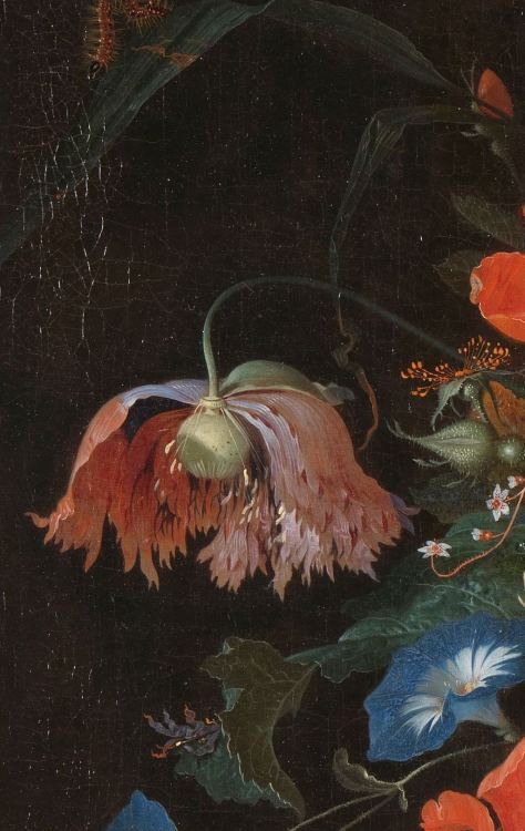 Abraham Mignon, Still Life with Flowers and a Watch (detail), 1660 - 1679. Oil on canvas, 75 × 60 × 