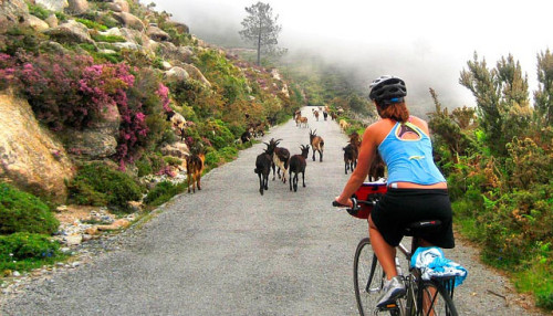 bikesandgirlsandmacsandstuff: (via Bike Commuting When Vacationing In Spain | Bike Commuters)