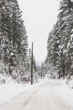 earth-dream:    Langille Canyon