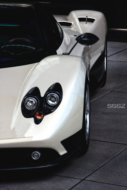 royalindulgence:  sssz-photo: Pagani Zonda