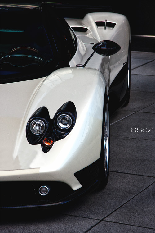 royalindulgence:  sssz-photo: Pagani Zonda Fhttp://bit.ly/12p2ZRE 