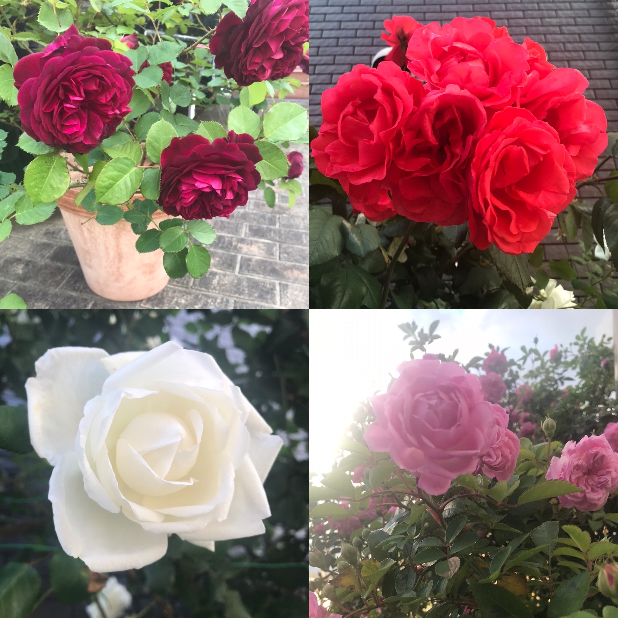 最好的時光 Explore Tumblr Posts And Blogs Tumgir 最好的時光 Explore Tumblr Posts And Blogs Tumgir