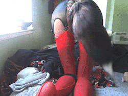 imapervert:  misuturaseyeful:  sterlingsea:  got to wear my tail for a custom video :) love making custom vids~  Sinclaire: Tumblr icon numbah 1  that little peek of the pussy in the last gif Flawless