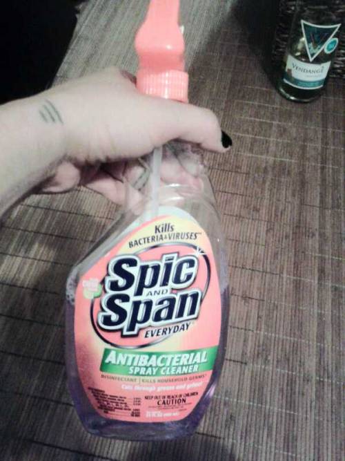 Speaking of fucking cleaning, check out this RACIST shit!  The popular saying is ‘spick and span’…not SPIC  Yeah.