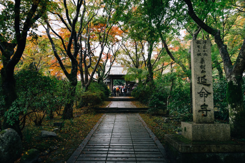 yuji87:Enmeiji Temple ~延命寺~,Osaka,Japan→note, Portfolio, Instagram