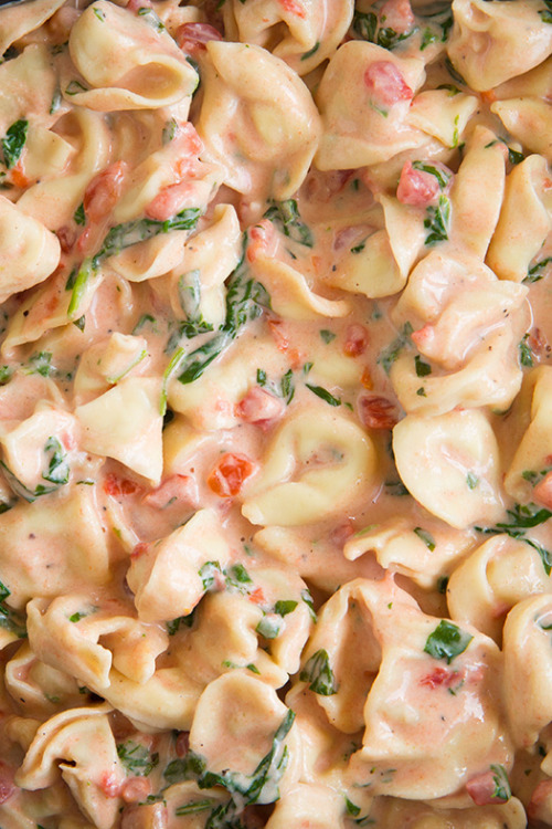 do-not-touch-my-food:  Spinach Tomato Tortellini