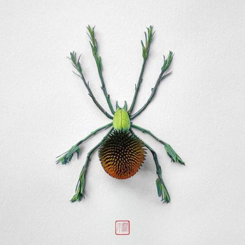 pr1nceshawn:Natura Insects – The delicate floral compositions by Raku Inoue.