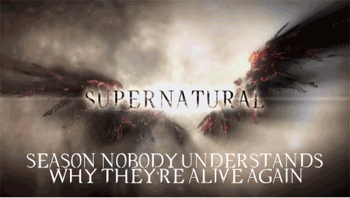 bandsandfangs:  princessakane:  SUPERNATURAL SEASON RENAME inspired by this x  OMFG
