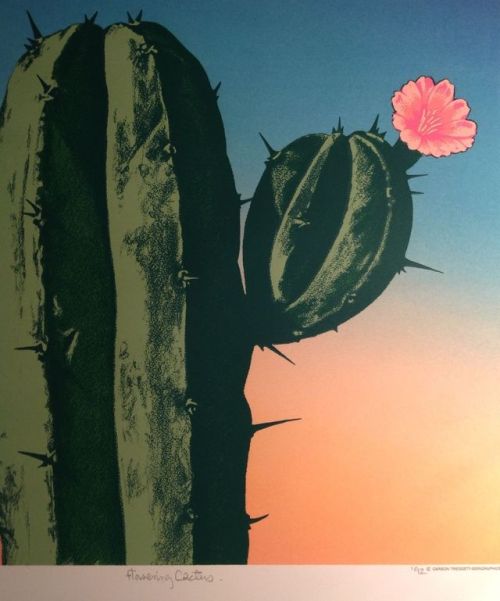 cactus-in-art:Carson Tredgett (British, contemporary, www.carsontredgettartist.com/)Flowering