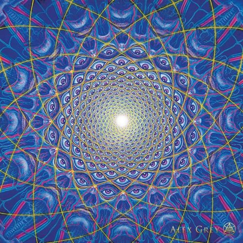 Alex Grey (b. 1953)Collective Vision ,1995oil on linen