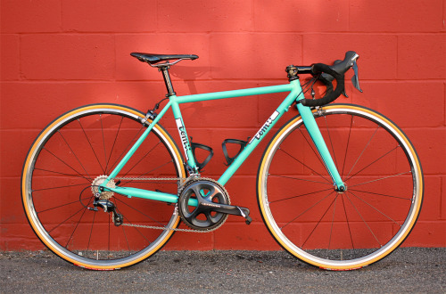 aces5050: Matt’s Road (by Tomii Cycles)