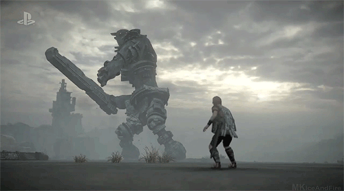 delsinsfire:Shadow of the Colossus