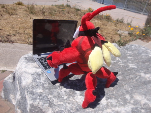 sqishyrina: Just finished making a Buzzwole plush! He took quite a while, and has a LOT of fine deta