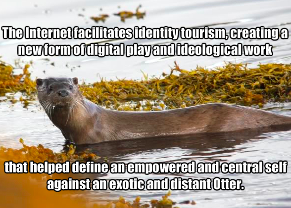 discourseontheotter:
“~Lisa Nakamura
”
“Identity tourism” and the Otter.