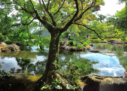 Harmony in a Japanese Garden