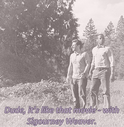 cas, buddy
