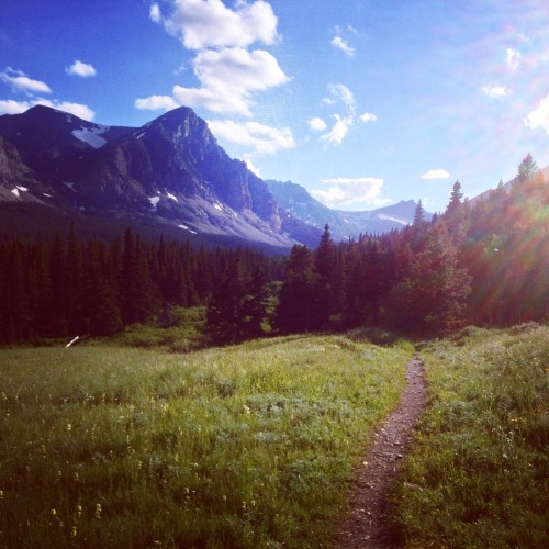 banjosandbogs:  Summer Trails from the West. 
