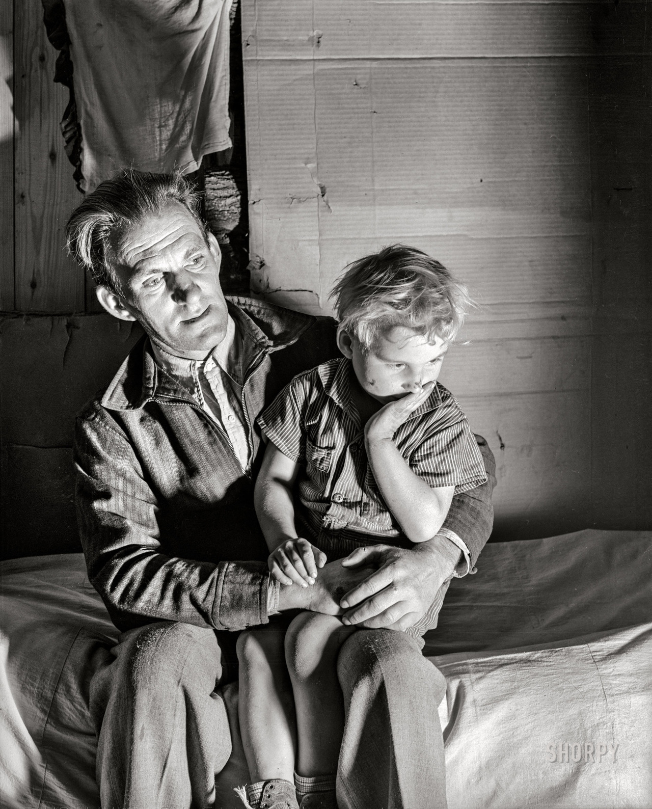 federer7:November 1939. Butler County, Missouri. &ldquo;Evicted sharecropper