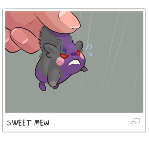 fump-dump: MORPEKO IS PERFECT!!!