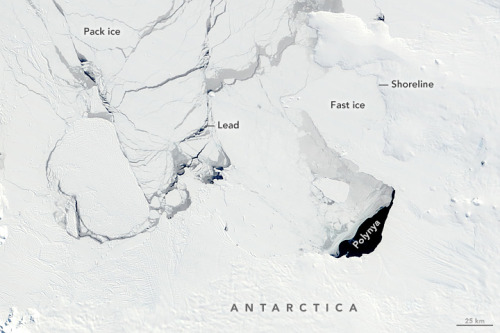 NASA image of Antarctic sea ice, taken by the MODIS Rapid ResponseTeam.Fastice holds fast to a coast