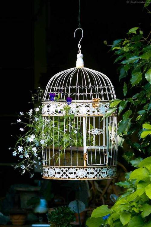 saatkontor: Ornamental birdcage with flowers