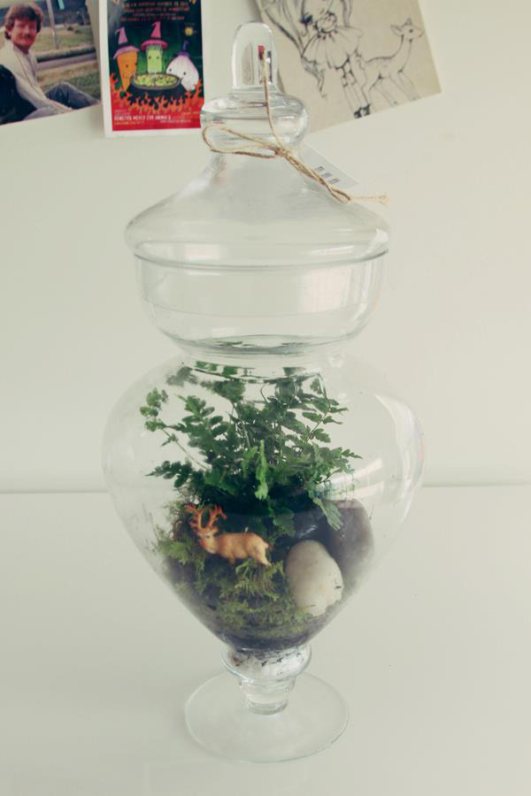 helloyounglionsxo:  I make and sell terrariums as a little hobby that makes me happy