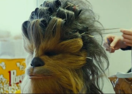 corellian-smuggler: organanation: secret-jedi: Underrated Chewie picture Very late one evening on Ho
