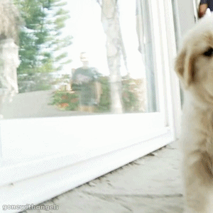 STEP TO THE FUTURE | via Tumblr en We Heart It. http://weheartit.com/entry/69115860/via/JennetteLEE 