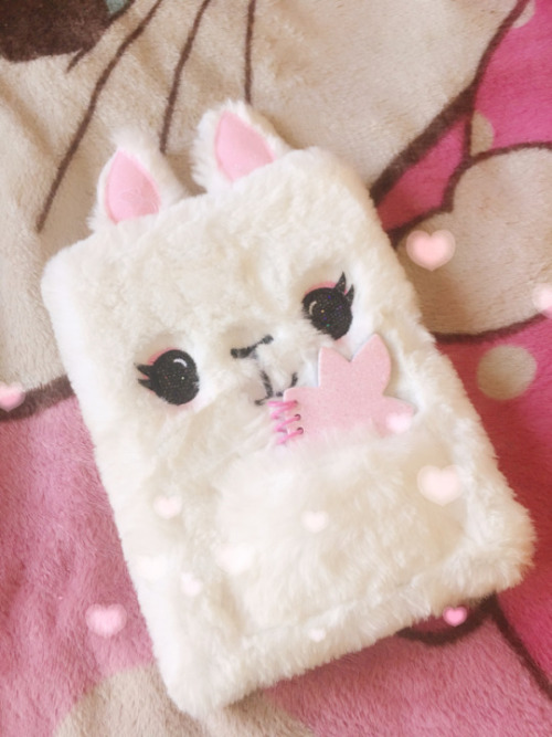 mistertilmonjr:  bunnyspears:  good morning ! my morning has consisted of watching ‘let’s plays!’, writing in my diary and scheduling my day (class , debut cam show, working on my flexibility & the gym. interesting..? maybe..?) i look dopey