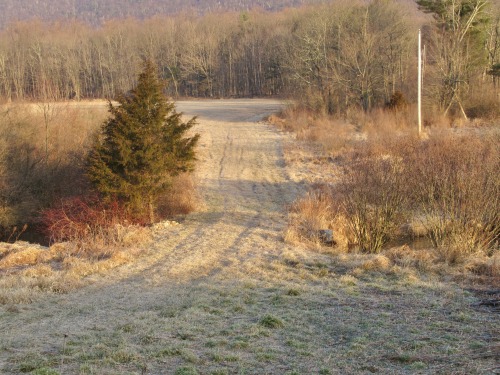 8th of January and 9th of February, snow and no snow.