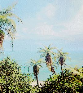 valchevins:Uncharted 4 - scenery 2/?