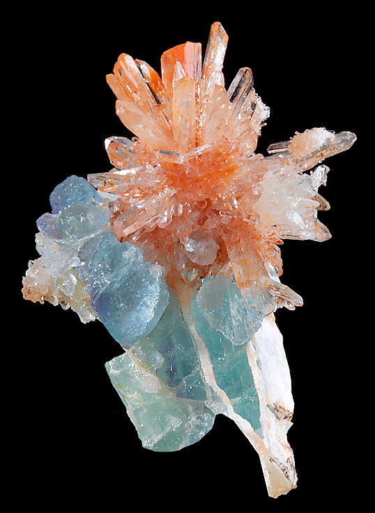 ggeology:  Orange Creedite and Blue-Green Fluorite crystals 